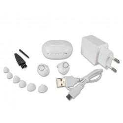 Amplificator auditiv reancarcabil Dual Plus 